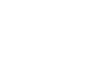 Anthropic