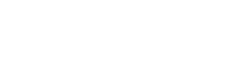 The New American