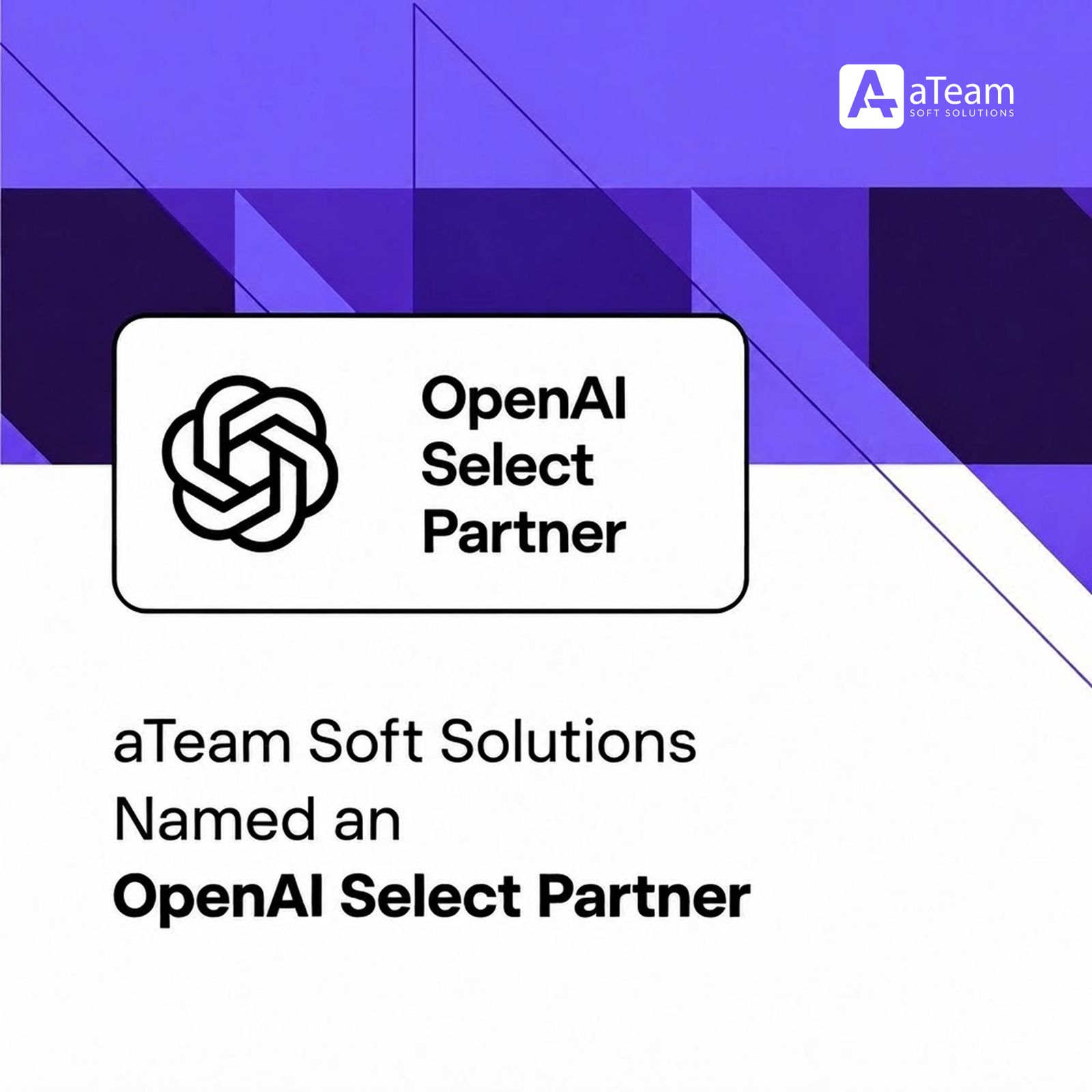OpenAI Select Partner