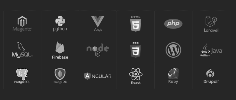 Developing A Web Application