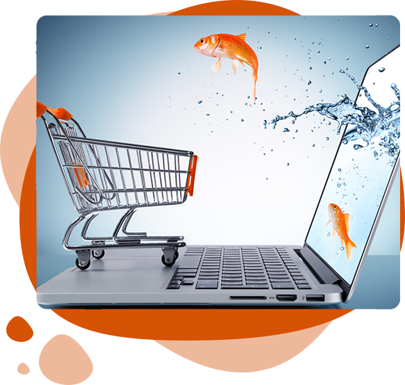Ecommerce Solution