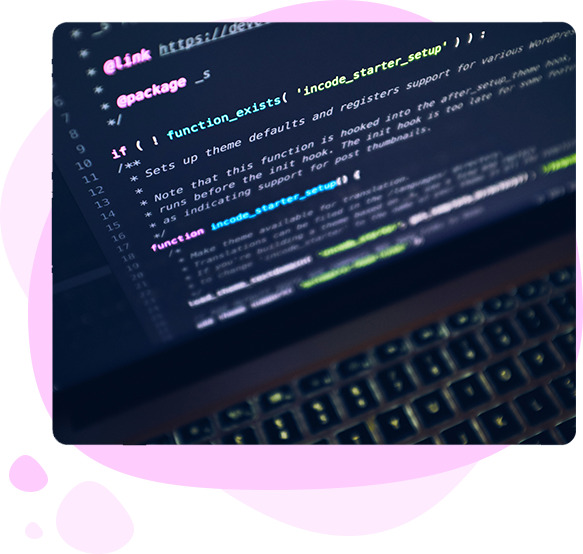 custom software development company