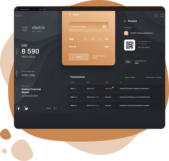 software development company