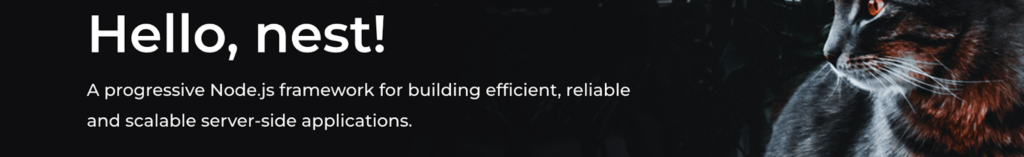 Nest js - Node JS Frameworks by Developer 