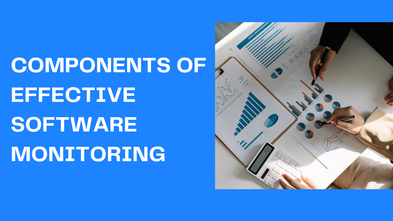 Components of Effective Software Monitoring